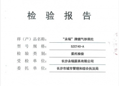 燃?xì)獬床嗽顧z驗(yàn)報(bào)告