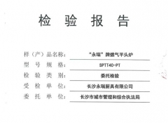 湖南燃氣平頭爐檢驗報告